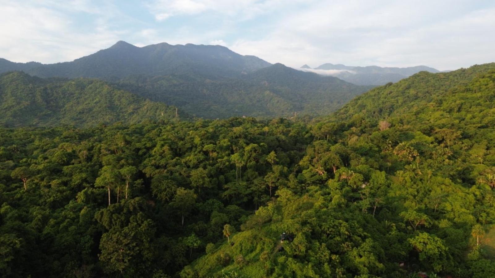 Mirador Del Parque Tayrona Hotel เอลไซโน ภายนอก รูปภาพ