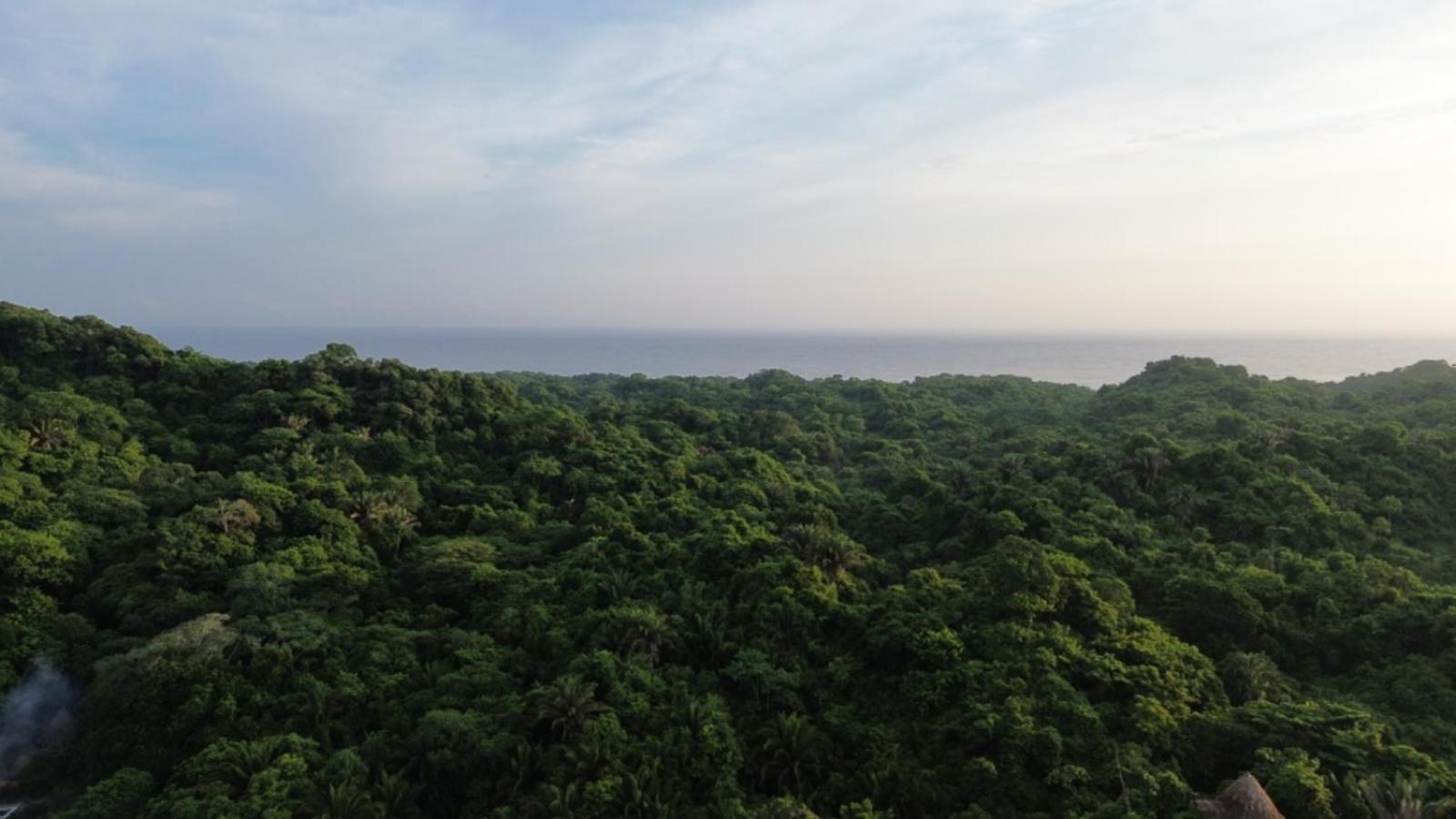 Mirador Del Parque Tayrona Hotel เอลไซโน ภายนอก รูปภาพ