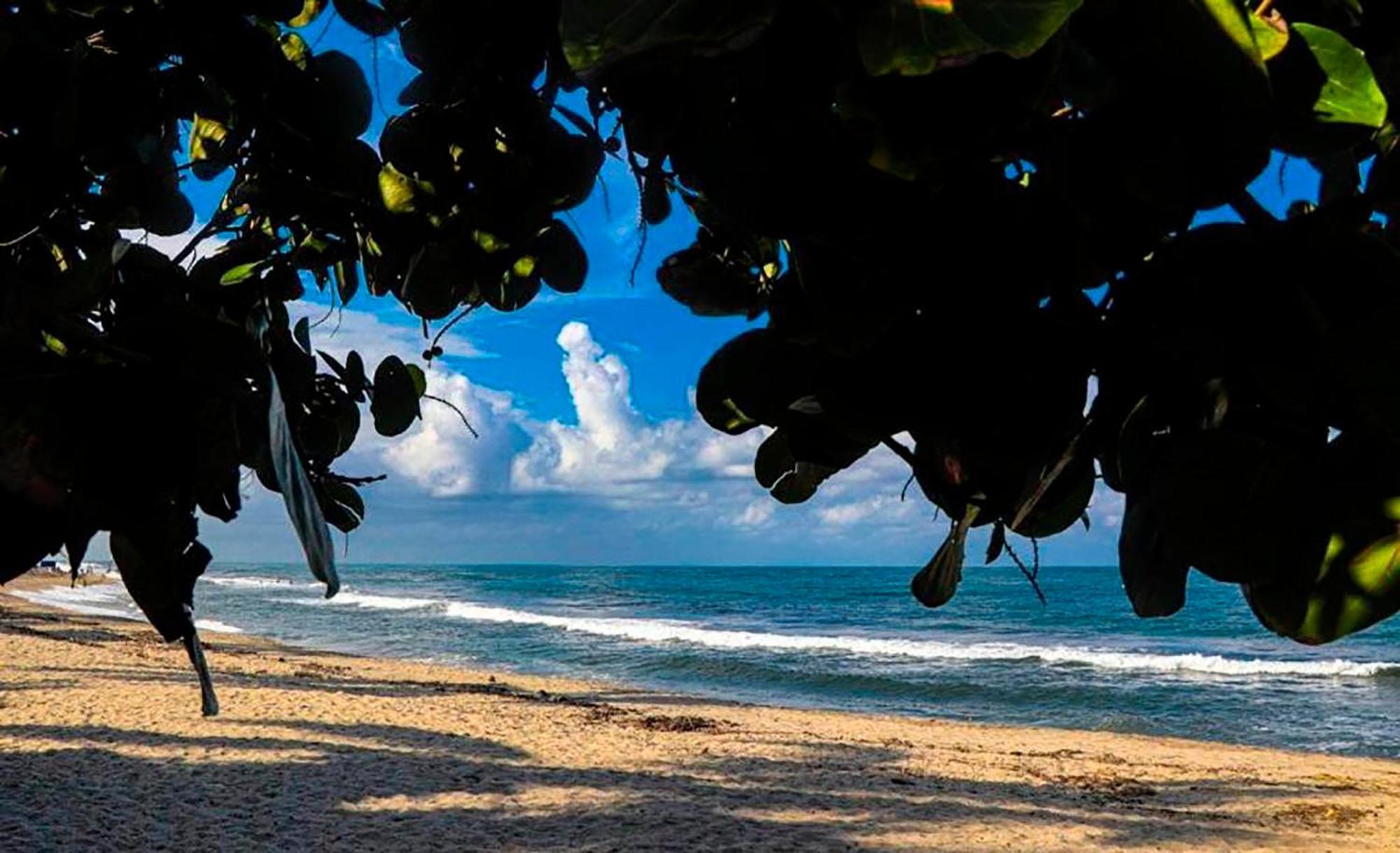 Mirador Del Parque Tayrona Hotel เอลไซโน ภายนอก รูปภาพ