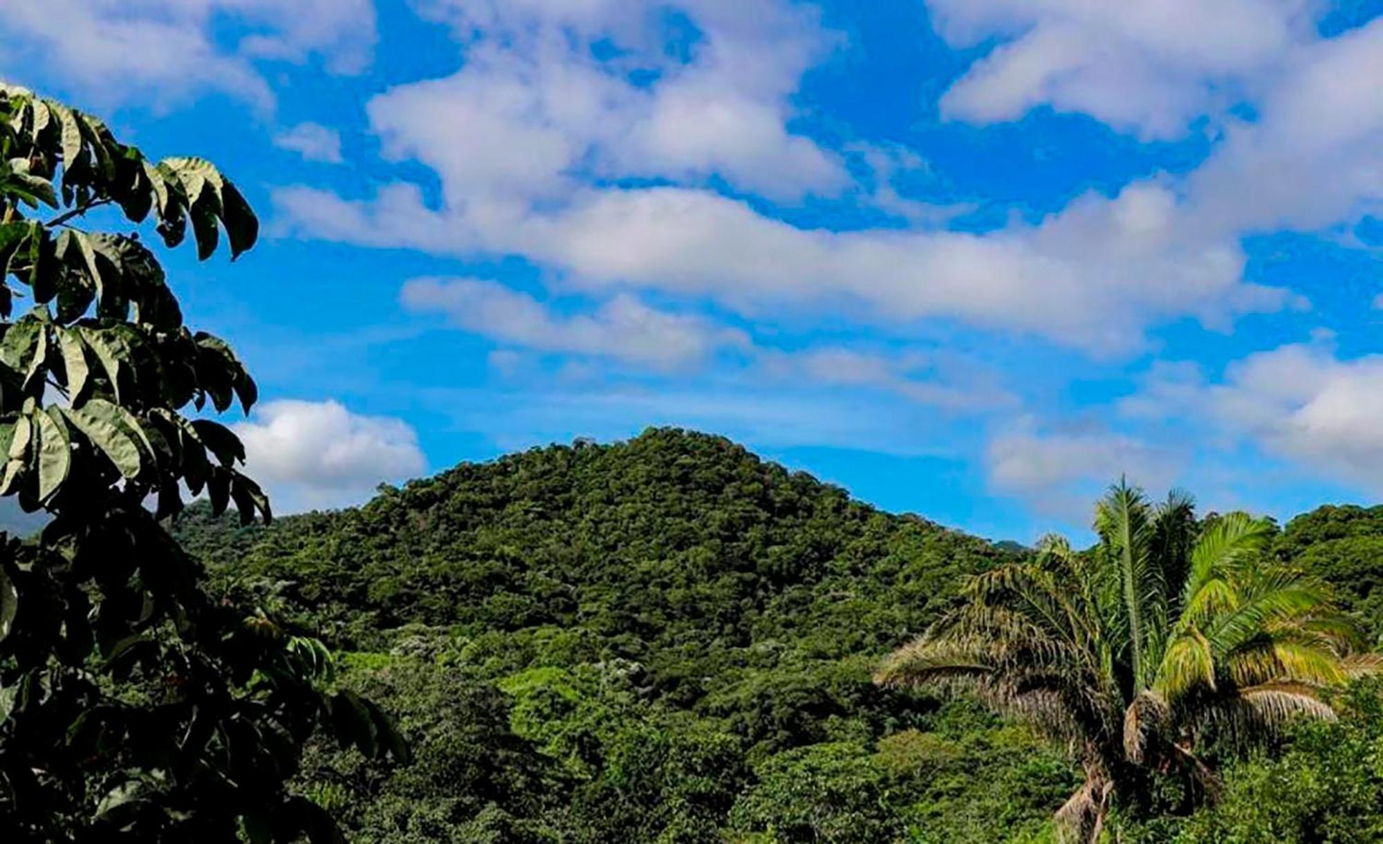 Mirador Del Parque Tayrona Hotel เอลไซโน ภายนอก รูปภาพ