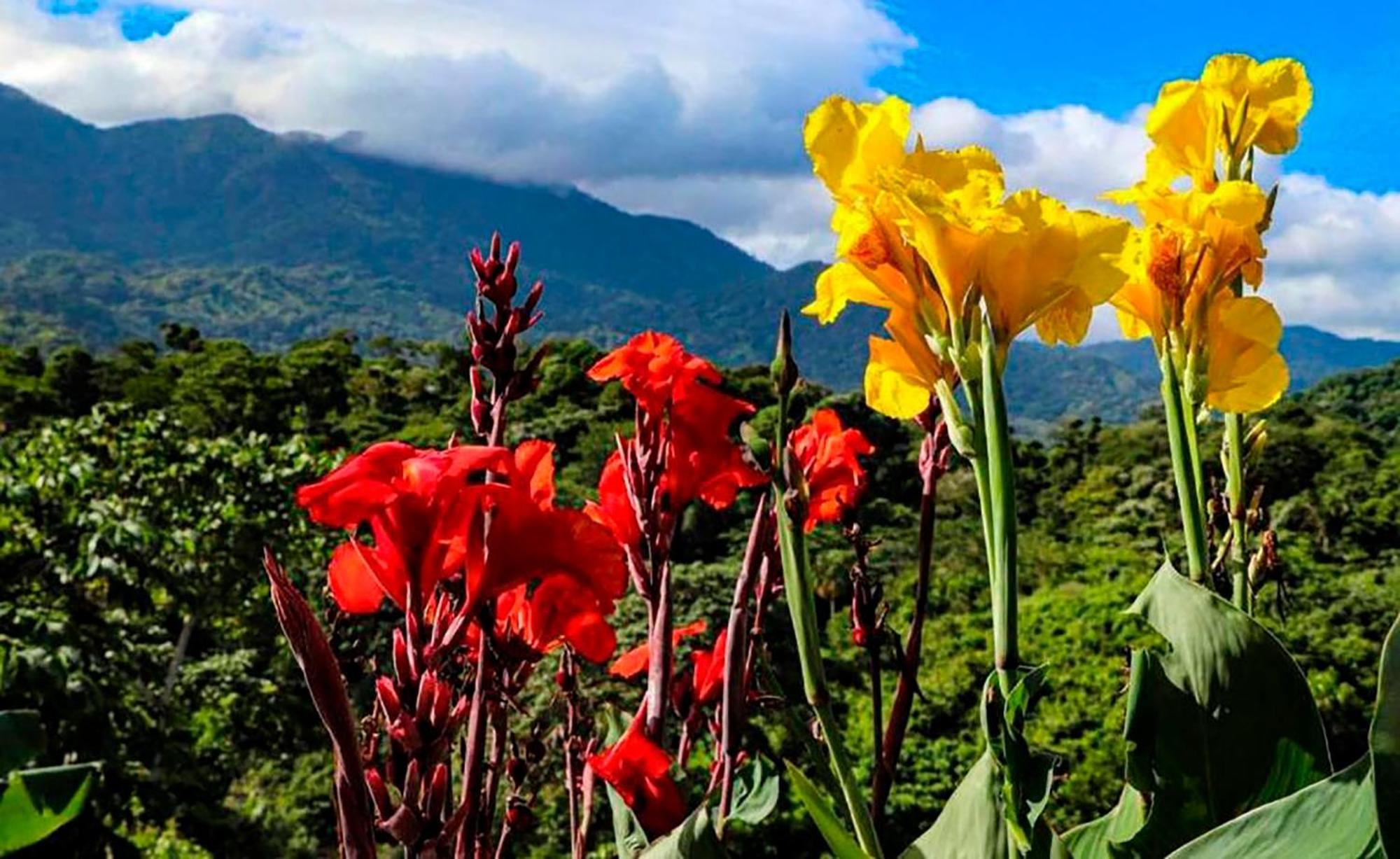 Mirador Del Parque Tayrona Hotel เอลไซโน ภายนอก รูปภาพ