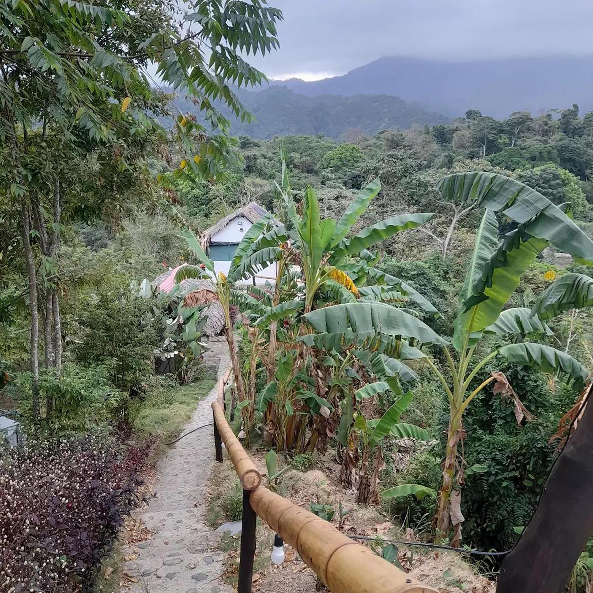 Mirador Del Parque Tayrona Hotel เอลไซโน ภายนอก รูปภาพ