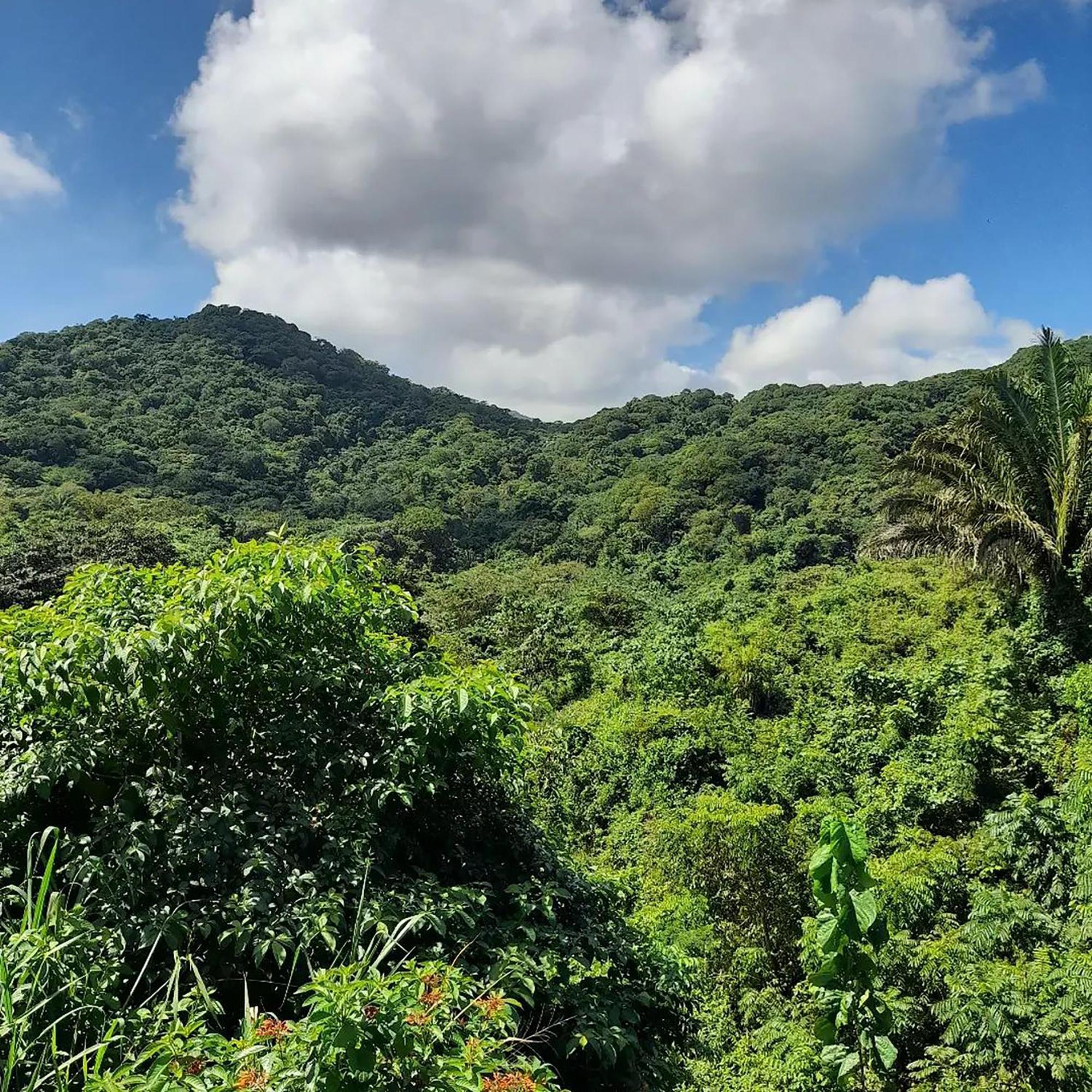 Mirador Del Parque Tayrona Hotel เอลไซโน ภายนอก รูปภาพ